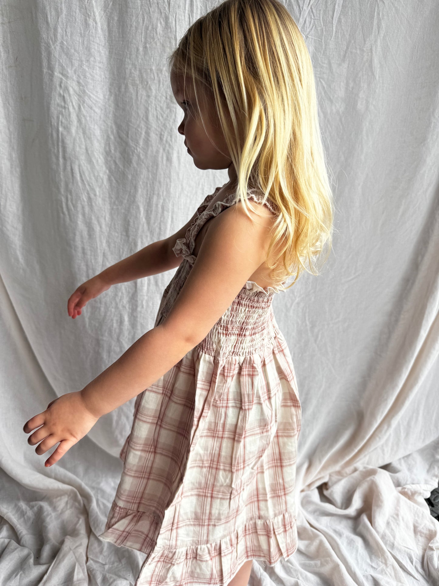 Plaid sleeveless Dress