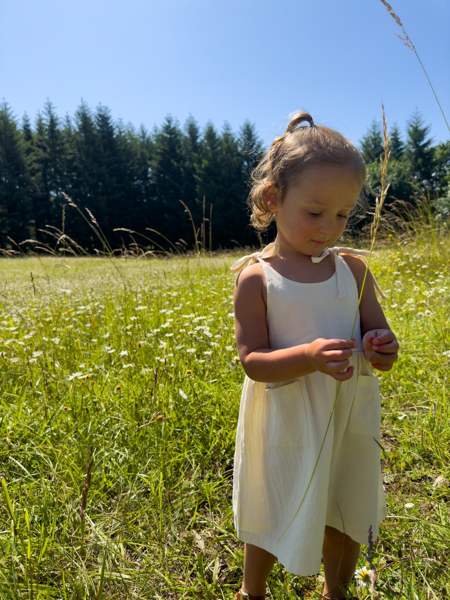 Emma linen dress